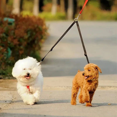 Double Dog Leash Coupler Revive